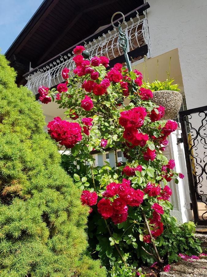 Aparthotel Pan Haus Bad Ischl Exteriér fotografie